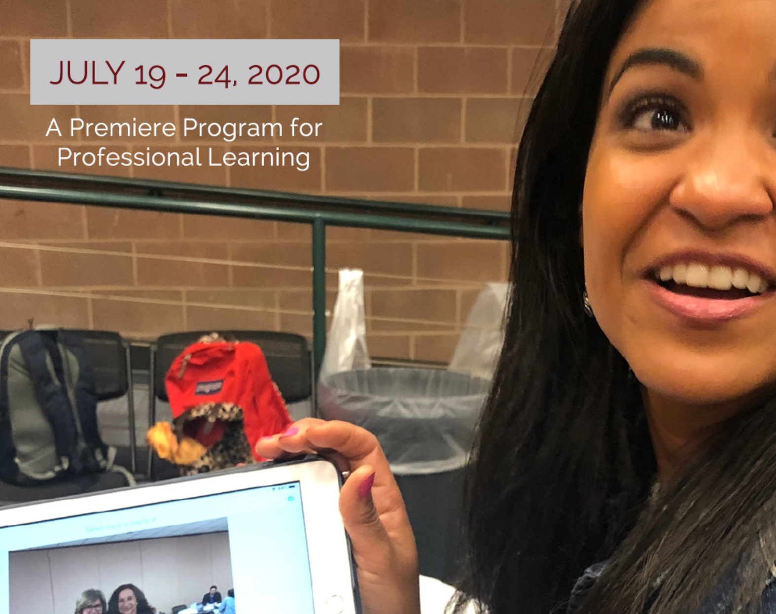Webinar: Summer Institute 2020 in Chicago